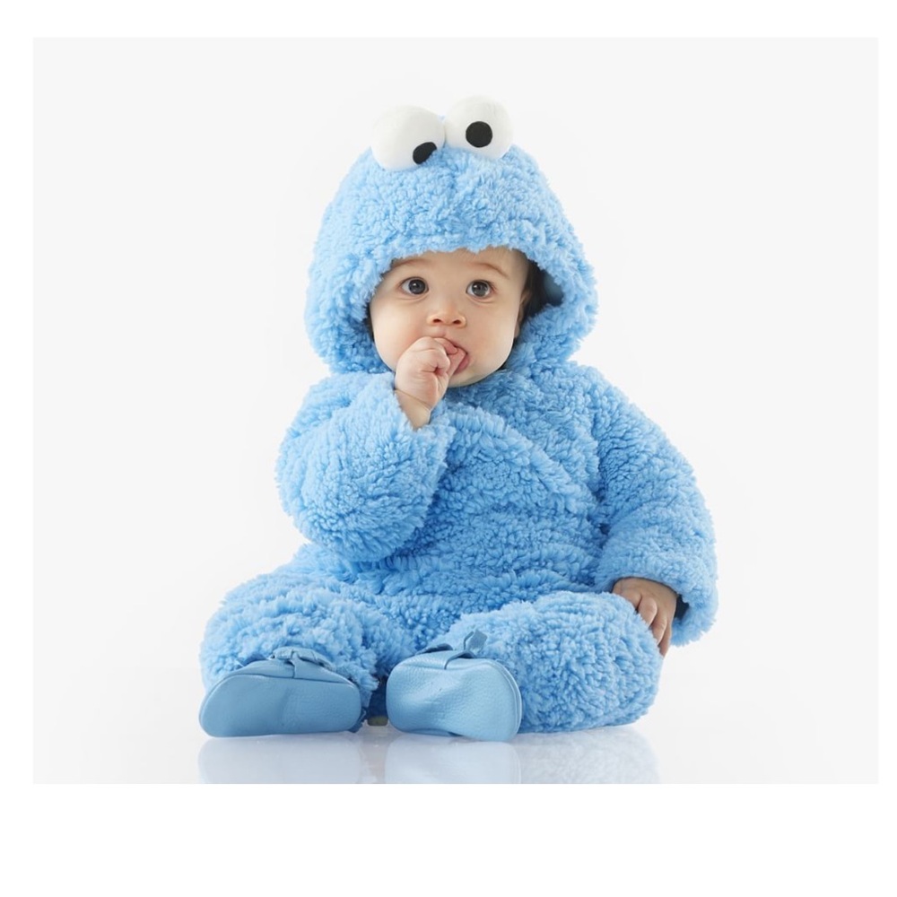 EUC Pottery Barn Cookie Monster Baby Costume